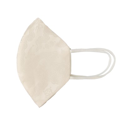 Silk Mask